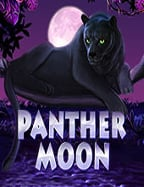 แอ พ เกม โจ๊ก เกอร์: ทดสอบความสนุกก่อนเดิมพันจริง